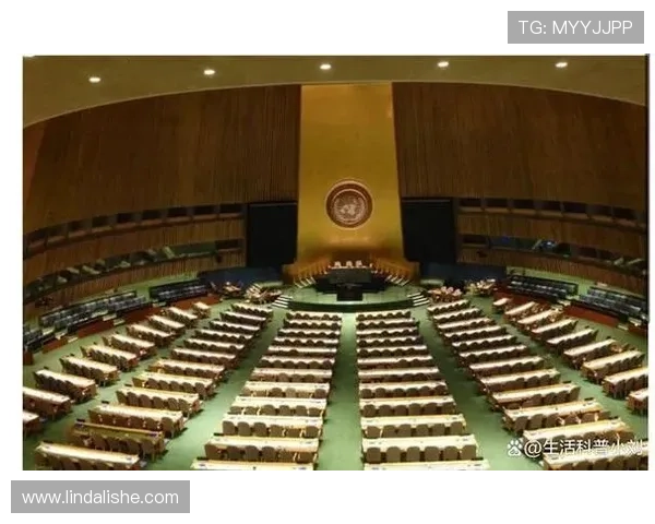 了解bg视讯的国家起源及其在全球市场中的地位与影响力